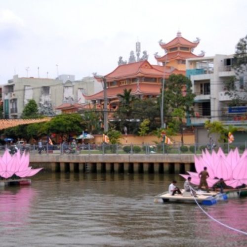 7 đóa sen hồng đã xuất hiện trên kênh Nhiêu Lộc