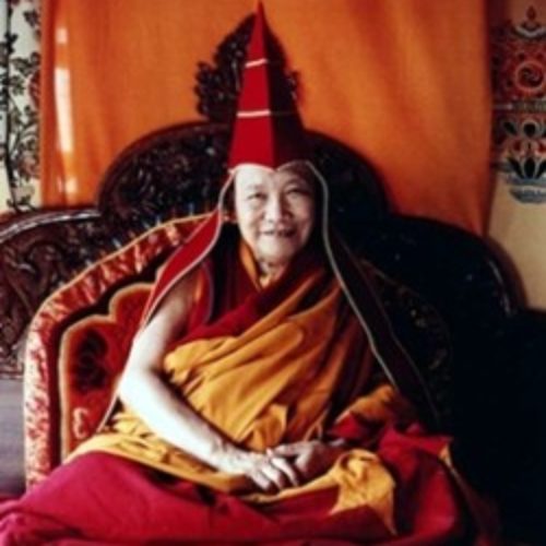 Hóa thân Lạt-ma Trulshik Rinpoche được công nhận