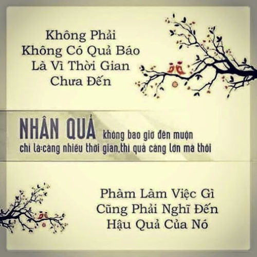 Nhân quả trùng điệp